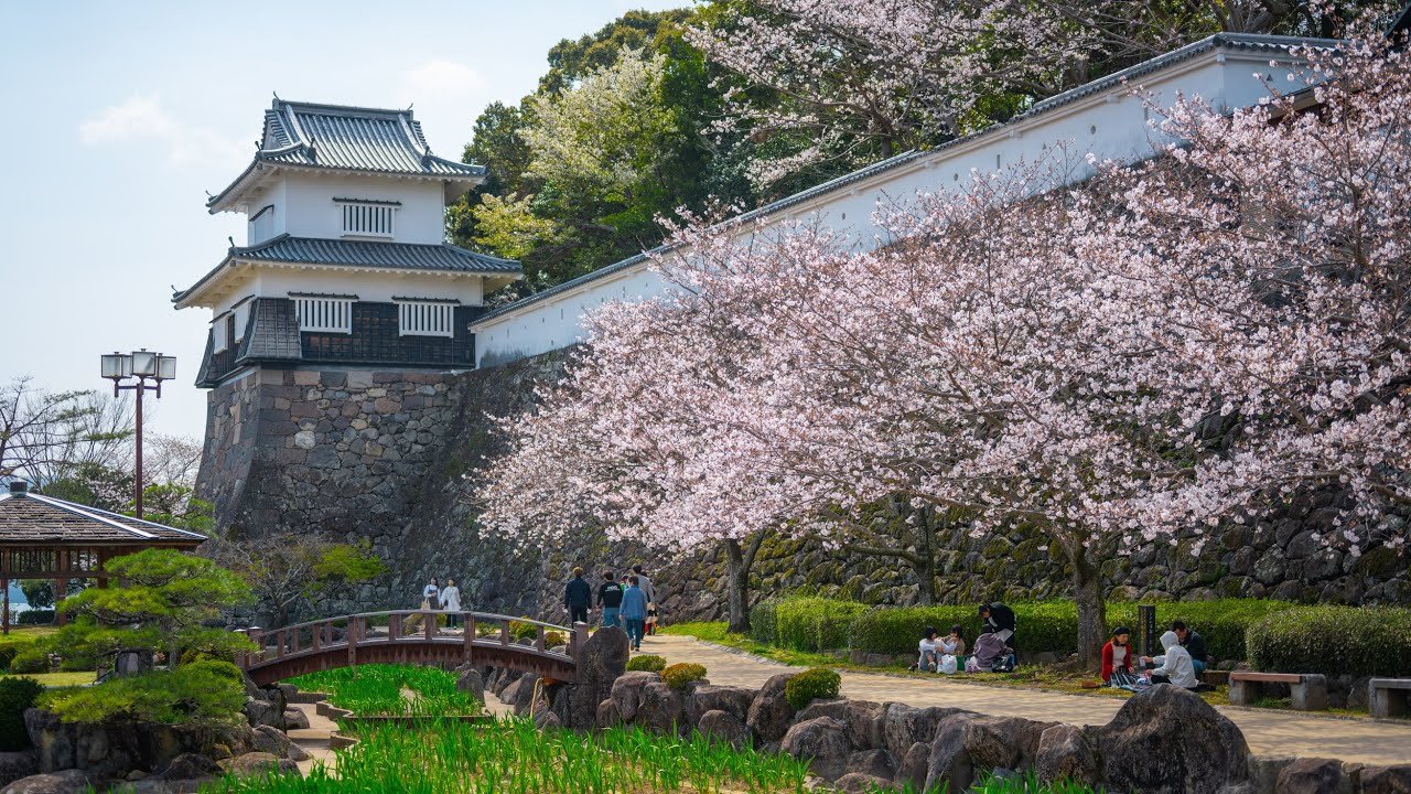 🌸 오무라 공원 이미지 7